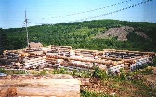 Overview of site -- 4 logs high